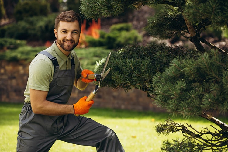 Servizi di Manutenzione