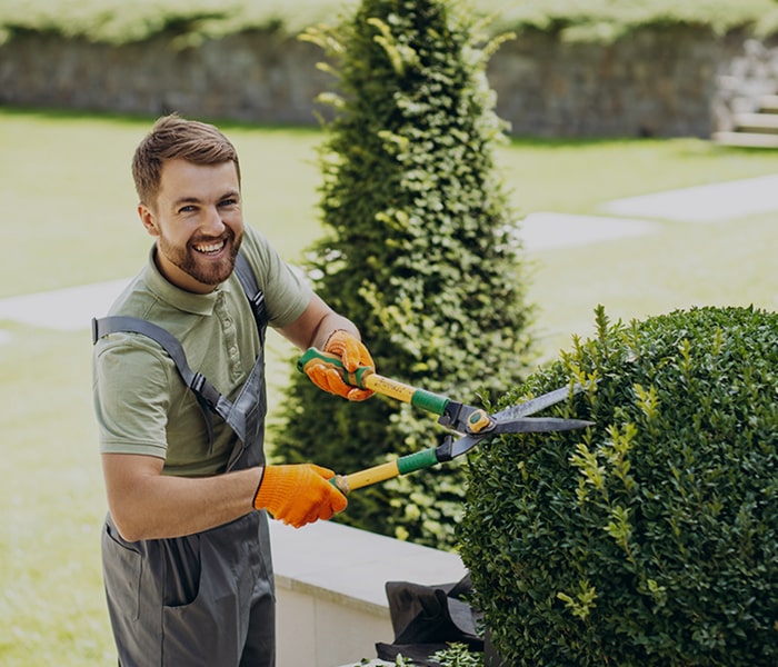 Servizi di Manutenzione Giardini